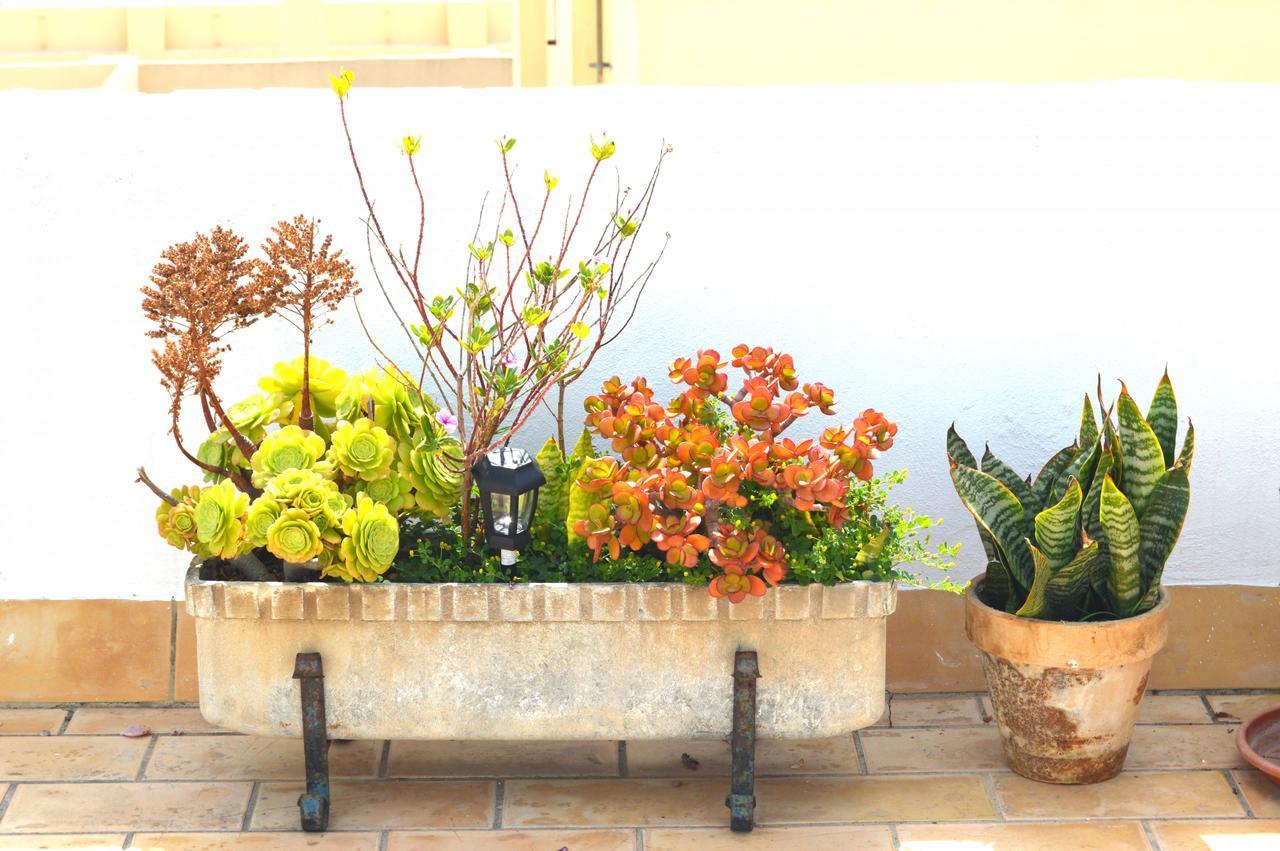 Apartamento El Mirador De Cádiz Buitenkant foto